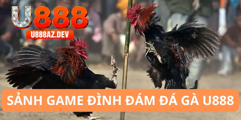 Đôi nét về sảnh game đá gà U888 