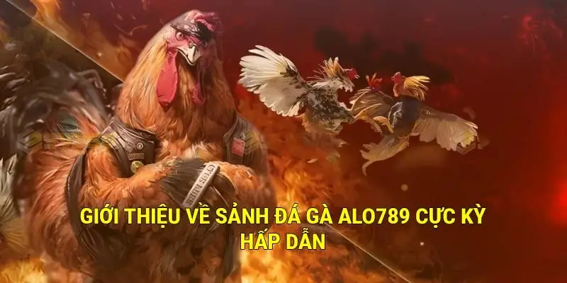 ALO789 - Top trang đá gà uy tín nhất 2026